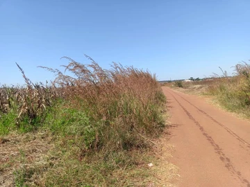 Land