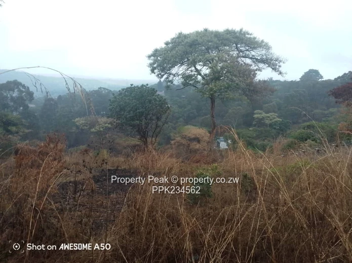 1.4ha Scenic Hilltop with Tarred Main Road Frontage — Helensvale