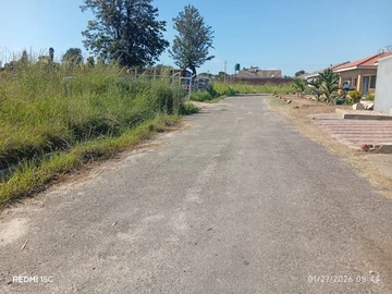 Stands & Residential Land