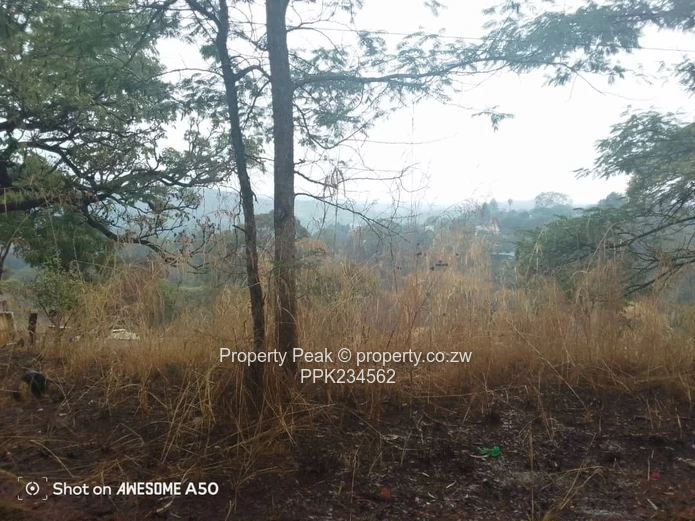 1.4ha Scenic Hilltop with Tarred Main Road Frontage — Helensvale